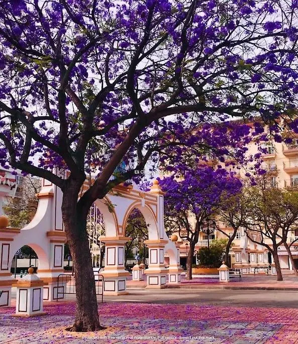 Apartment Higueronrentals Mikero Malaga Spain